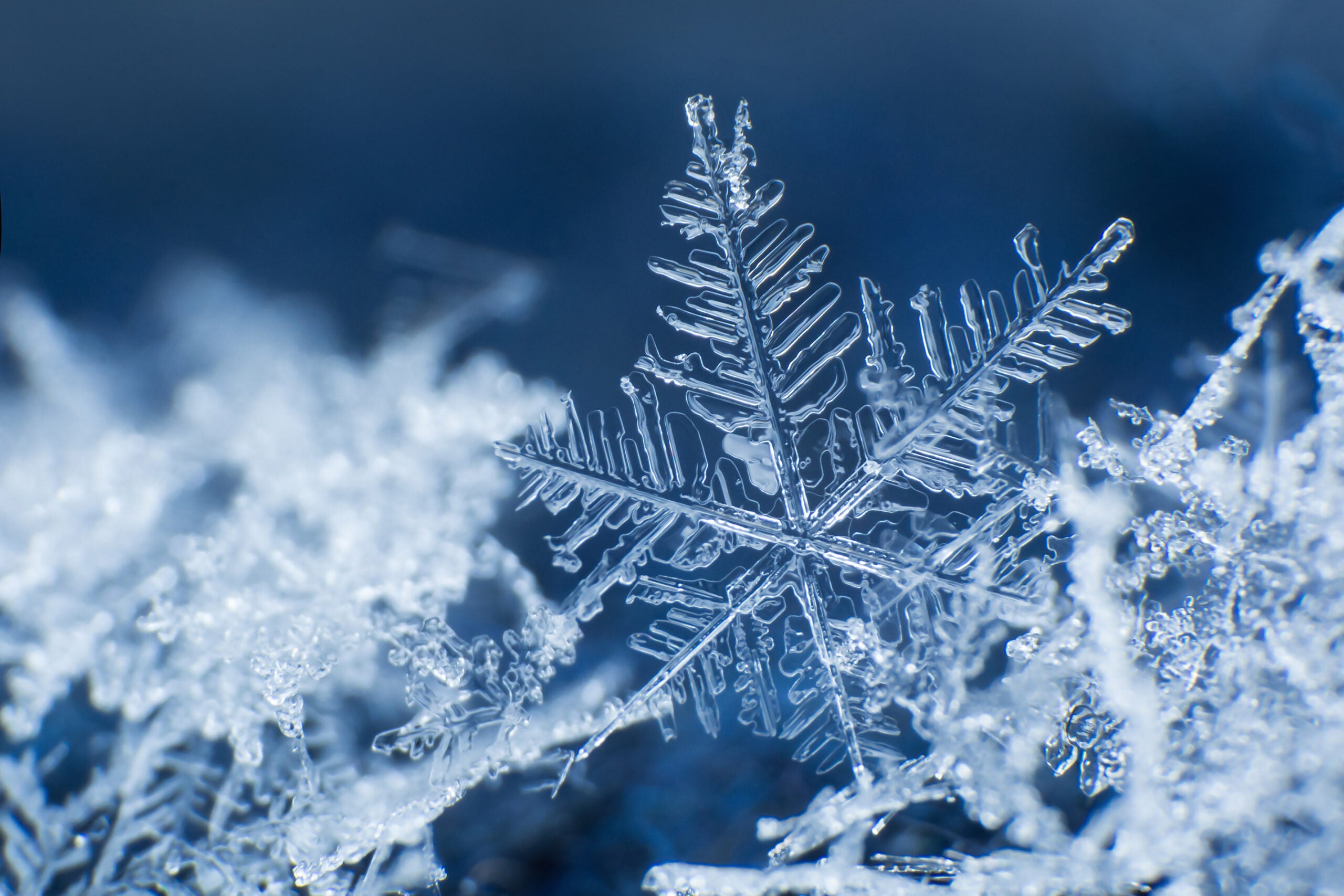 snowflakes.1200x675.shutterstock-scaled-1.jpg