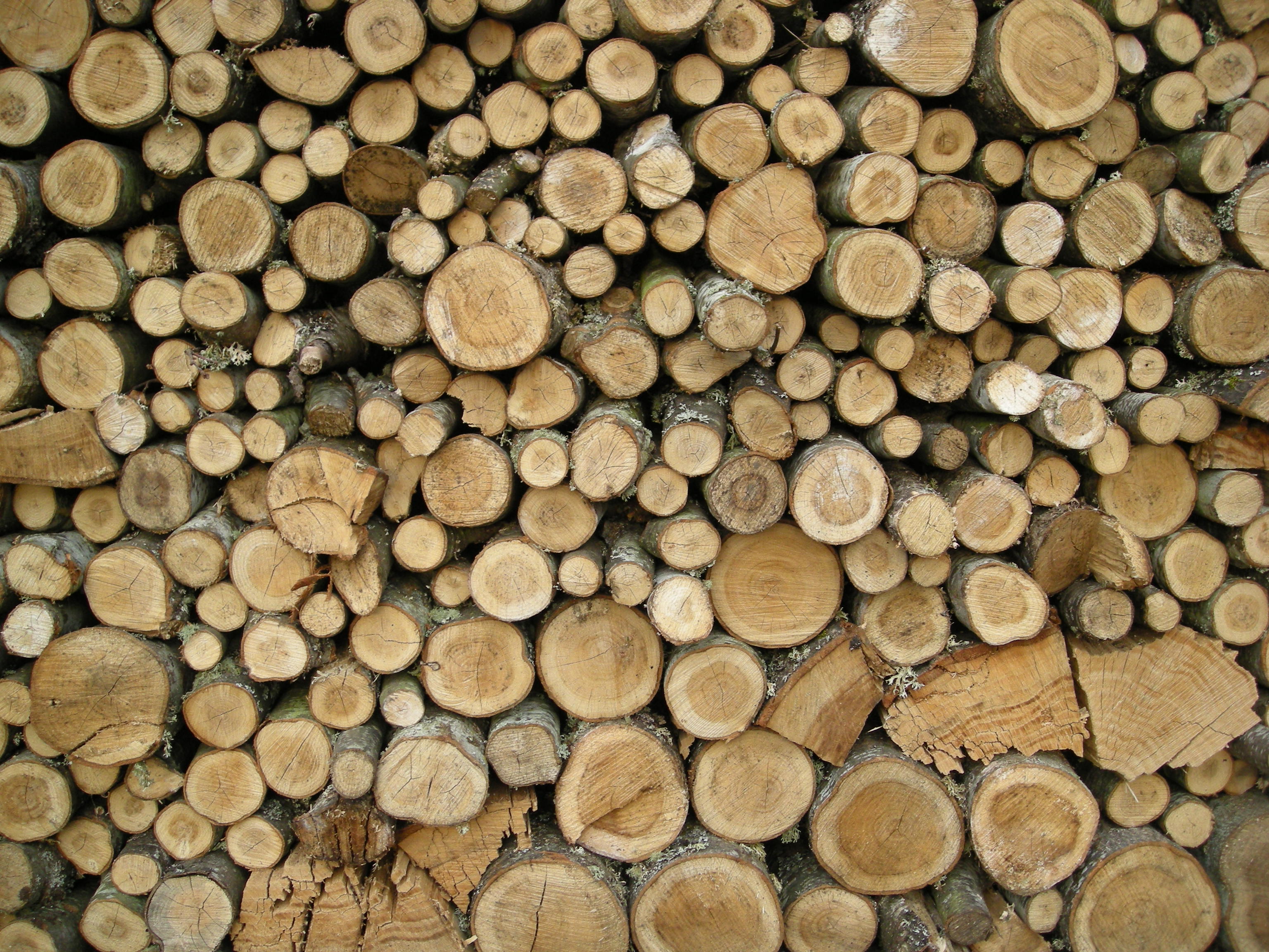 Stacked_wood.JPG