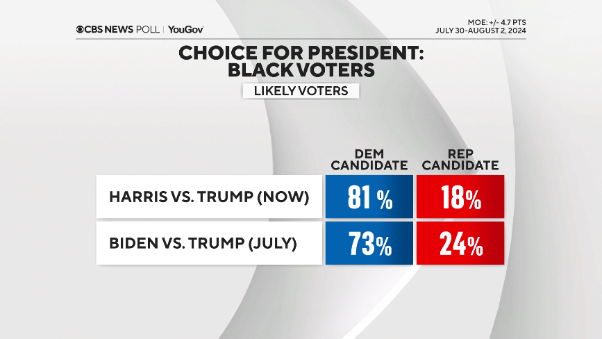 black-voters.png