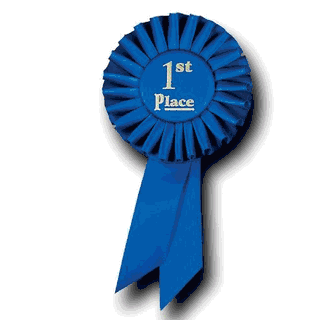 classic-blue-ribbons-48.gif