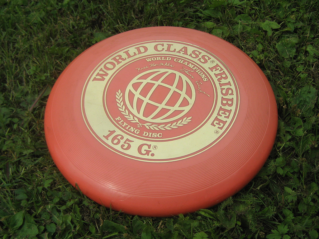 Frisbee_090719.jpg