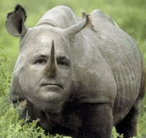 rino-mccain.jpg