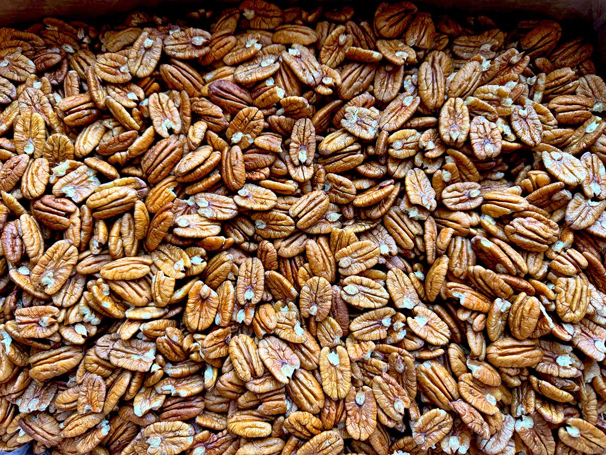 Golden-Kernel-Pecans.jpg