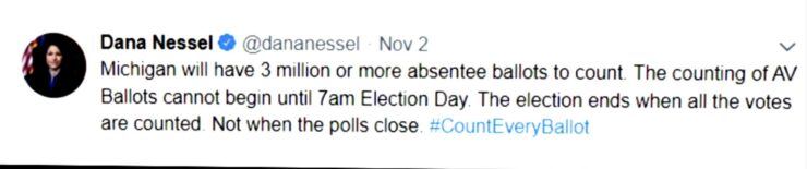 Nessel-vote-count-740x155.jpg