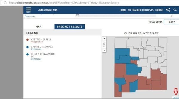 Precinct-Results-3-600x334.jpg