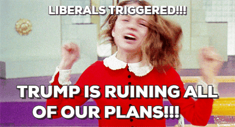 liberals-triggered-trump.gif